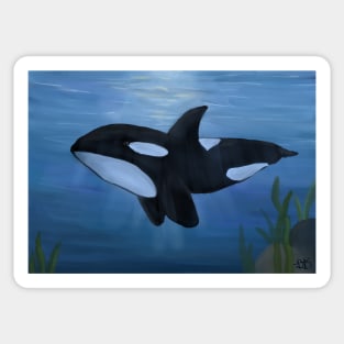 Underwater Orca - Digital Painting Sticker